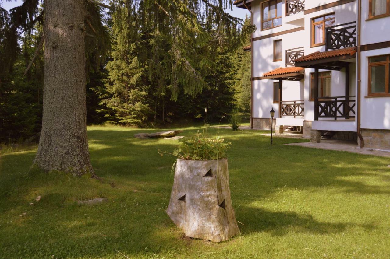 Northstar Ski Apartment in Mountain Lake Hotel Pamporovo Buitenkant foto